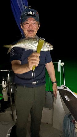 アジ
